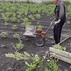 daily gifdump 54 gifs 6.html - 1 HD GIF | Premium Gallery 2026