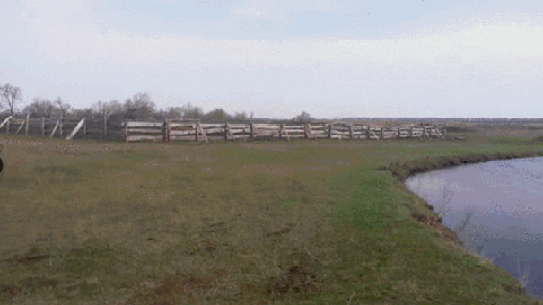 daily gifdump 54 gifs 6.html - 1 HD GIF | Premium Gallery 2026