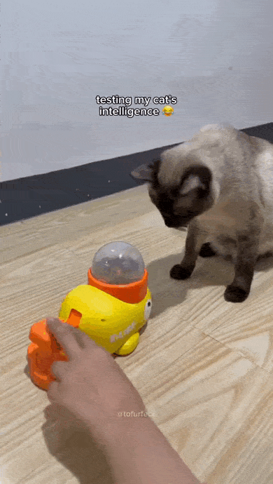 daily gifdump 54 gifs 6.html - 1 HD GIF | Premium Gallery 2026