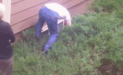 daily gifdump 54 gifs 6.html - 1 HD GIF | Premium Gallery 2026