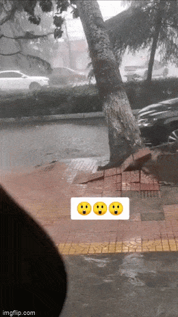 daily gifdump 54 gifs 6.html - 1 HD GIF | Premium Gallery 2026