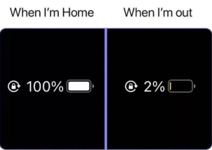 These Memes Don’t Know Much — But They’re Right