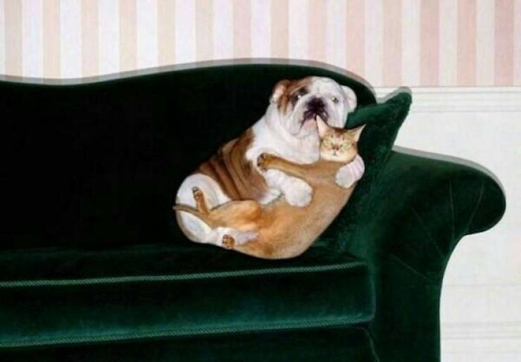 daily picdump 44 pics 3.html - 44 HD Photos | Premium Gallery 2026