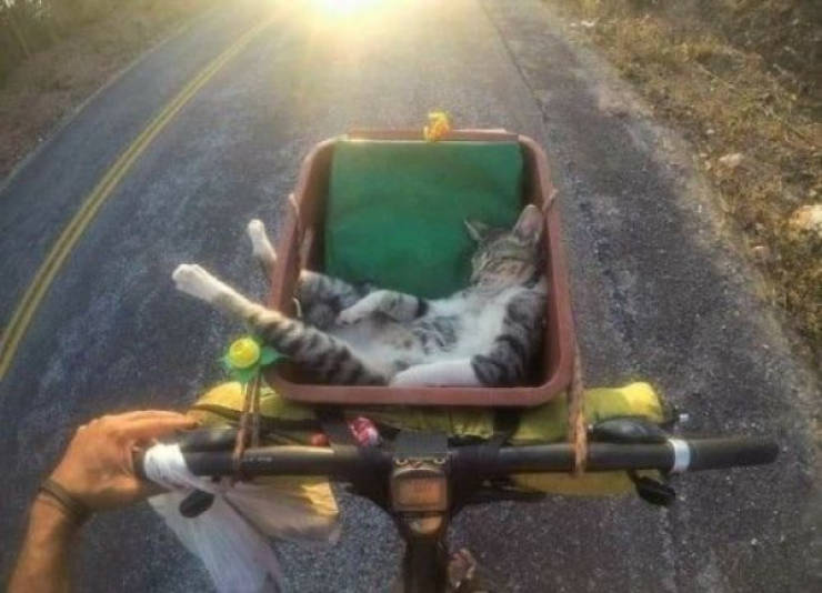 daily picdump 44 pics 3.html - 44 HD Photos | Premium Gallery 2026