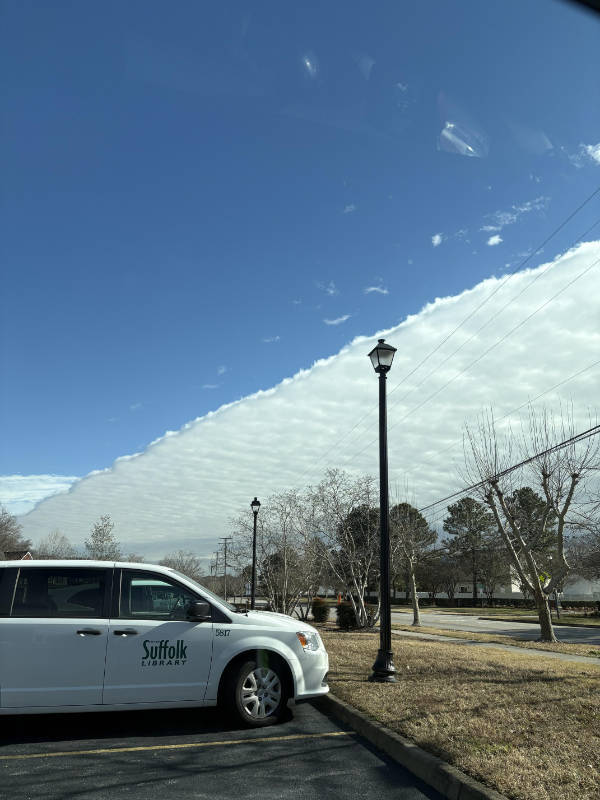 daily picdump 44 pics 3.html - 44 HD Photos | Premium Gallery 2026