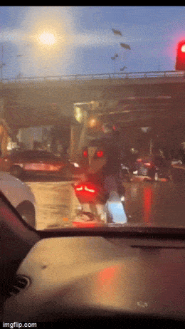 daily gifdump 42 gifs 6.html - 1 HD GIF | Premium Gallery 2026