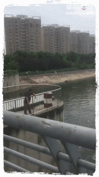 daily gifdump 42 gifs 6.html - 1 HD GIF | Premium Gallery 2026