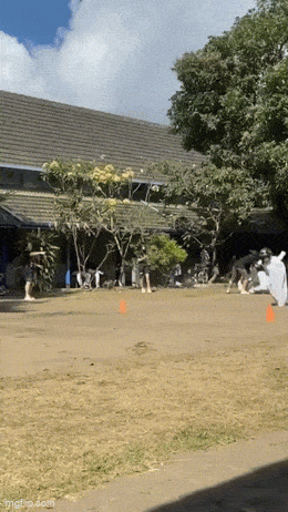 daily gifdump 42 gifs 6.html - 1 HD GIF | Premium Gallery 2026