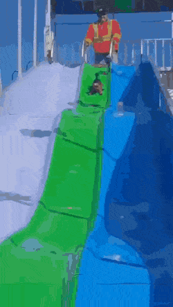 daily gifdump 42 gifs 6.html - 1 HD GIF | Premium Gallery 2026