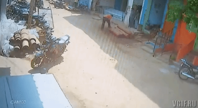 daily gifdump 42 gifs 6.html - 1 HD GIF | Premium Gallery 2026