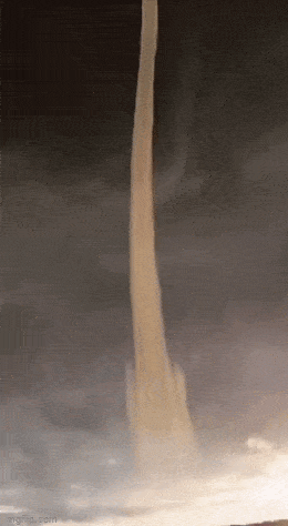 daily gifdump 42 gifs 6.html - 1 HD GIF | Premium Gallery 2026