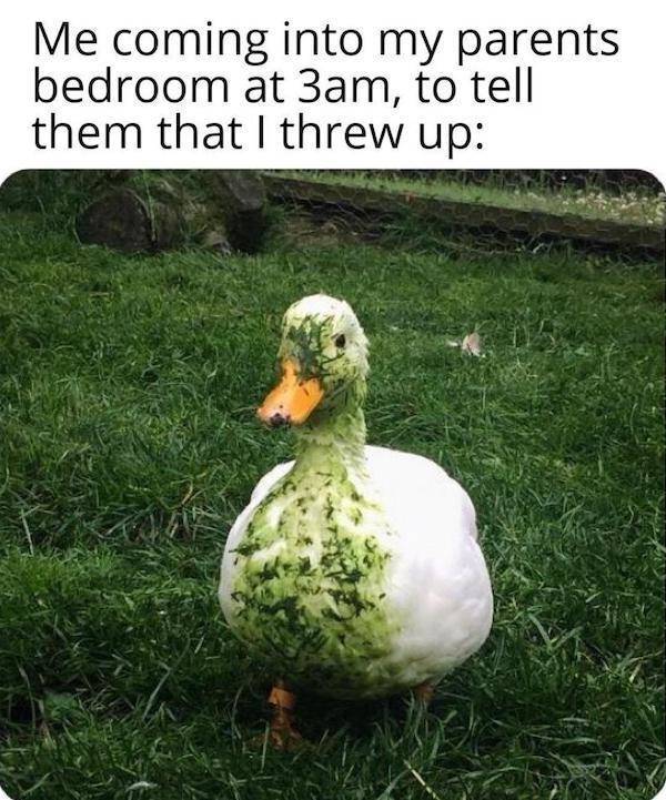 Memes That Hit the Target Every Time