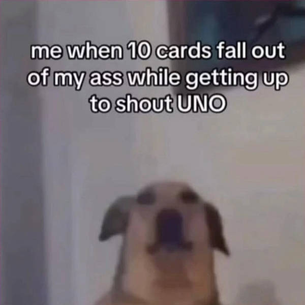 A Chaotic Mix of Internet Memes