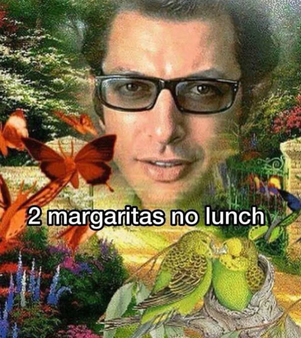 A Chaotic Mix of Internet Memes