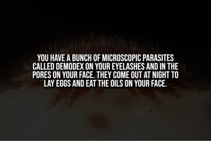 Creepy Facts That Will Haunt You