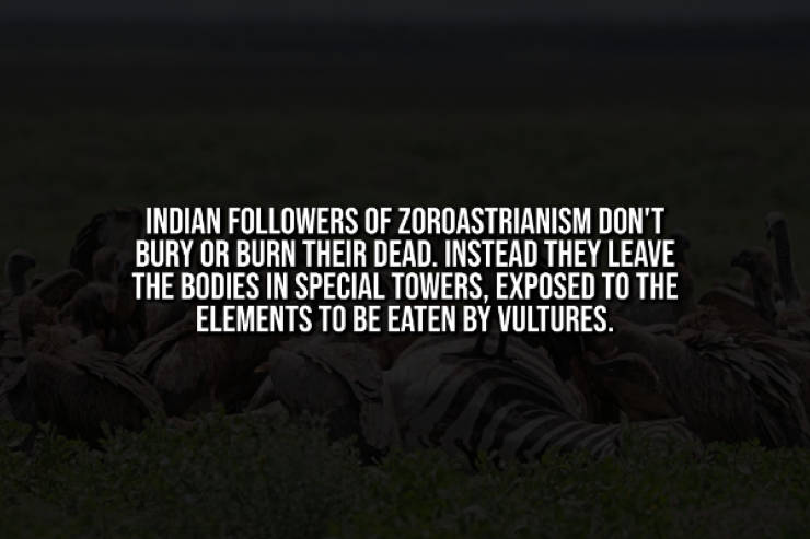 Creepy Facts That Will Haunt You