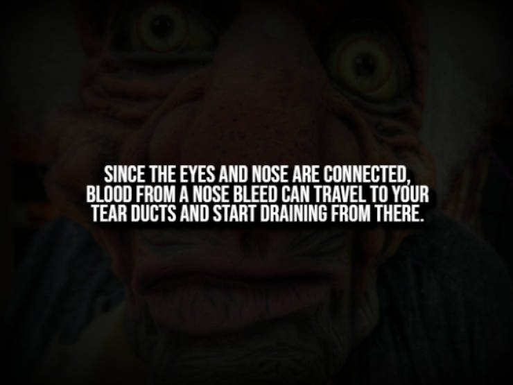 Creepy Facts That Will Haunt You