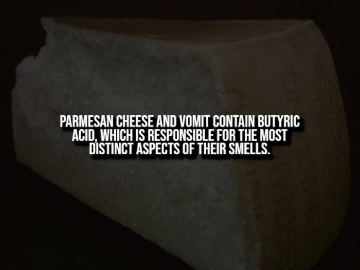 Creepy Facts That Will Haunt You