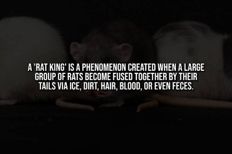 Creepy Facts That Will Haunt You