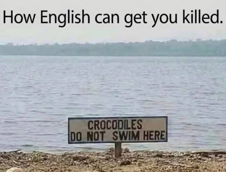 Somewhere Between Brilliant and Ridiculous