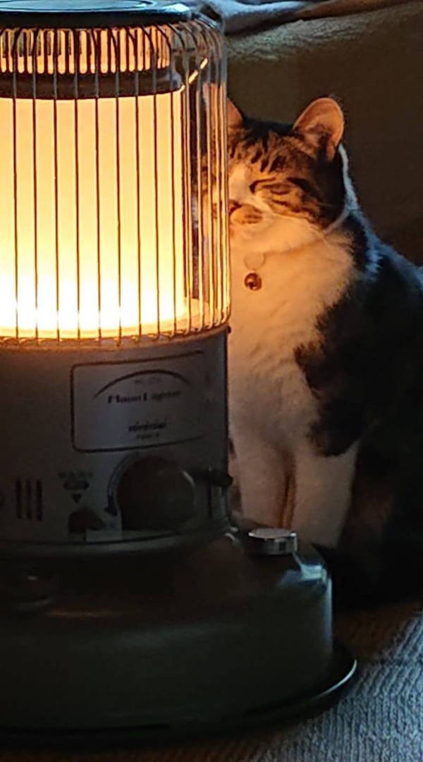 Somewhere Between Brilliant and Ridiculous