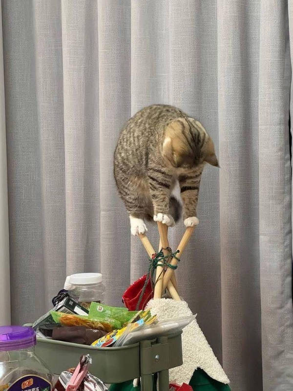 Somewhere Between Brilliant and Ridiculous