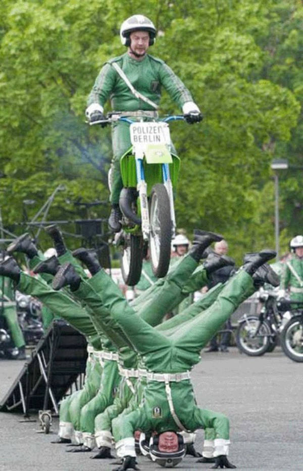 Somewhere Between Brilliant and Ridiculous