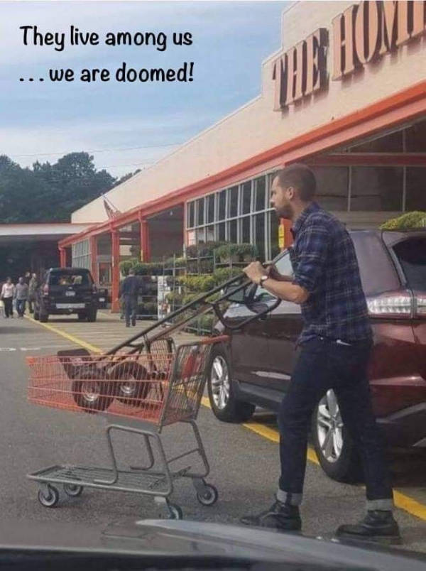 Somewhere Between Brilliant and Ridiculous