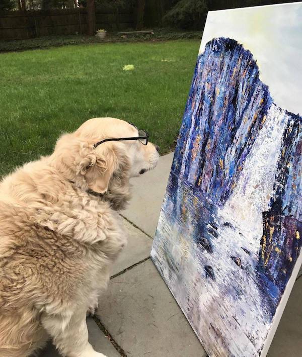 Weird Photos With Zero Context