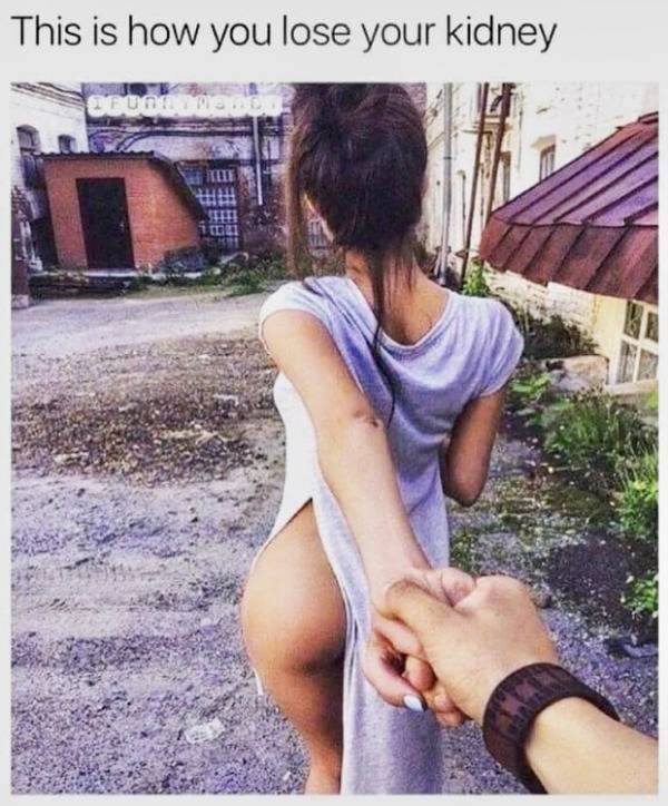 mildly arousing memes 34 pics 5.html - 34 HD Photos | Premium Gallery 2026