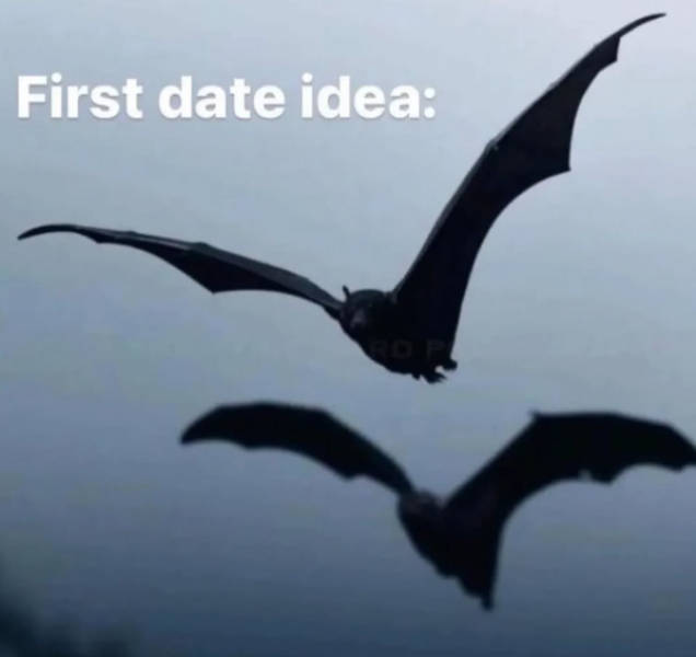 flirty memes to send to your better half 53 pics 21.html - 53 HD Photos | Premium Gallery 2026