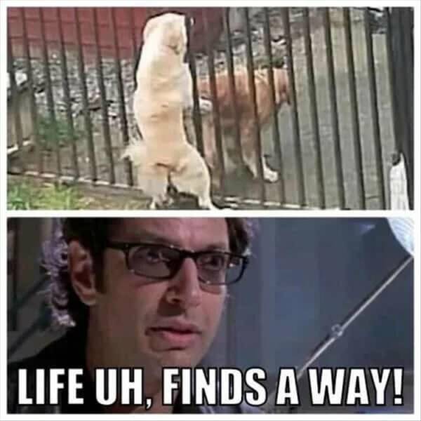 Dirty Dump For Dirty Minds