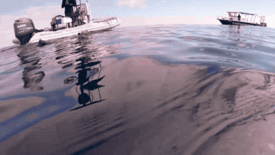 winning girl energy only 25 gifs 2.html - 1 HD GIF | Premium Gallery 2026