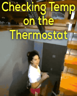 winning girl energy only 25 gifs 2.html - 1 HD GIF | Premium Gallery 2026