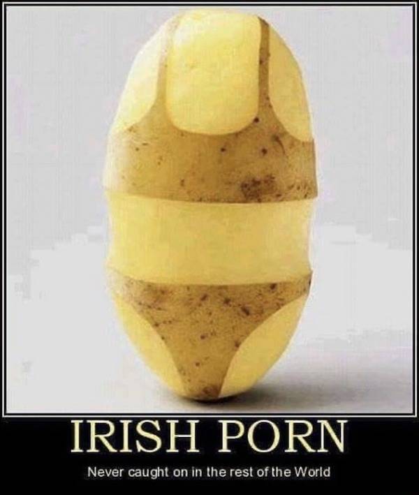 Beer-a-FULL memes for day Drinking