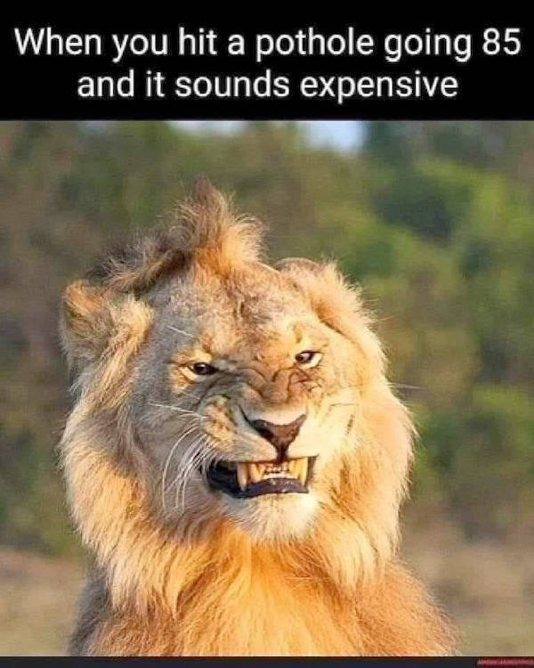 Beer-a-FULL memes for day Drinking