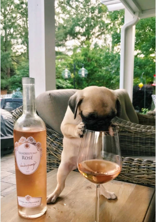 drinking never ends 34 pics 11.html - 34 HD Photos | Premium Gallery 2026