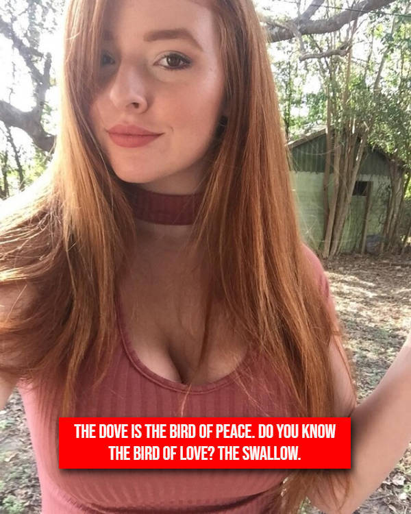 Sweet Girls With a Sharp Sense of Humor