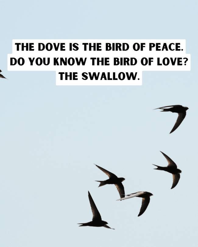 Dirty Jokes + Stock Images = A Fun Time