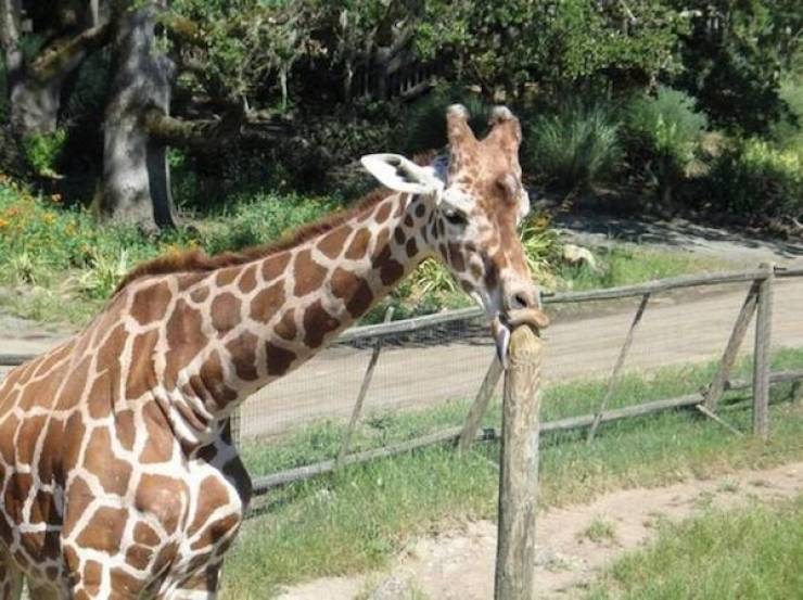 Dirty Minds Are Welcome!