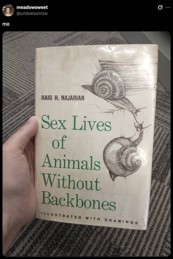 dirty minds are welecome 36 pics 2.html - 36 HD Photos | Premium Gallery 2026