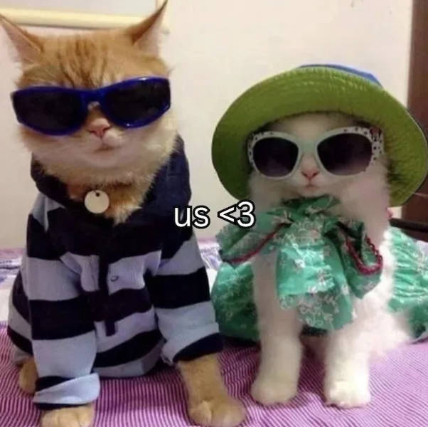 flirty memes to send to your better half 38 pics 3.html - 38 HD Photos | Premium Gallery 2026