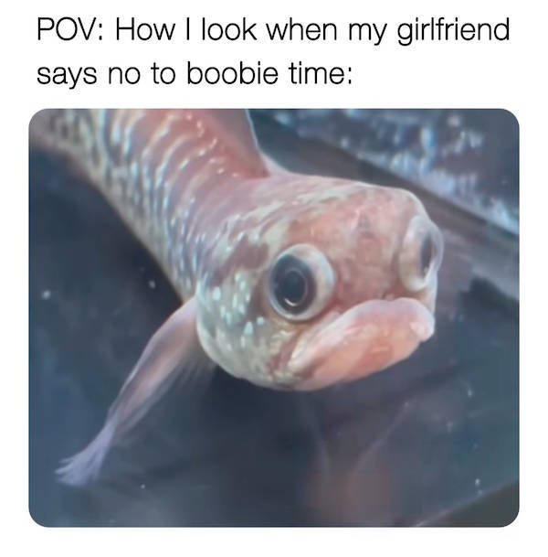 flirty memes to send to your better half 38 pics 3.html - 38 HD Photos | Premium Gallery 2026