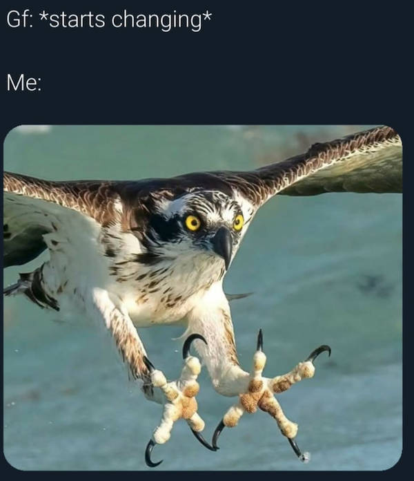 flirty memes to send to your better half 38 pics 3.html - 38 HD Photos | Premium Gallery 2026