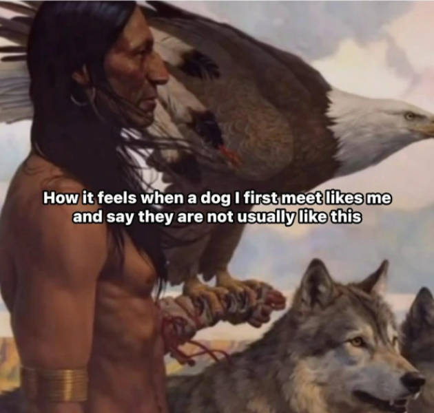 certified dank memes you need right now 33 pics 14.html - 33 HD Photos | Premium Gallery 2026