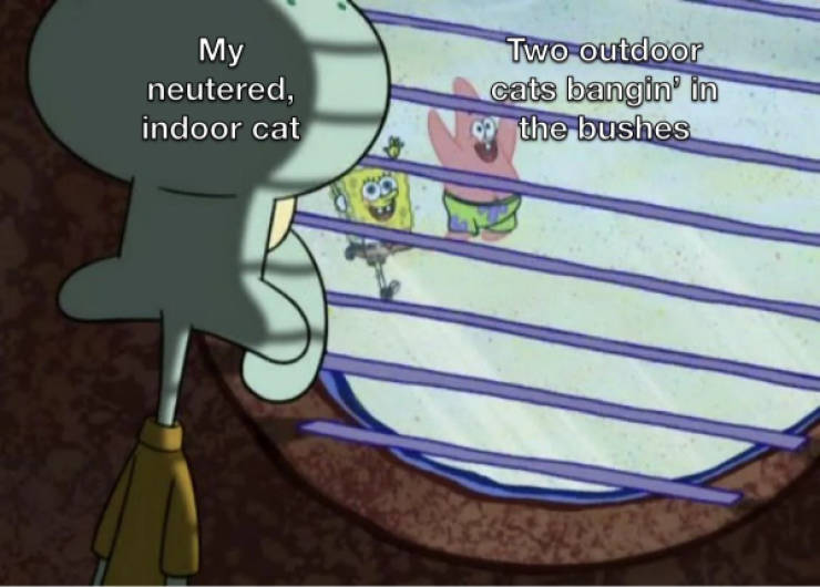 certified dank memes you need right now 33 pics 14.html - 33 HD Photos | Premium Gallery 2026