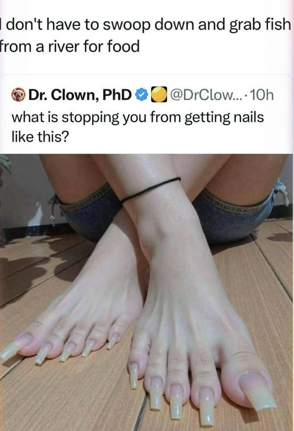 certified dank memes you need right now 33 pics 14.html - 33 HD Photos | Premium Gallery 2026