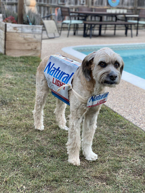 cheers everyone 37 pics 7.html - 37 HD Photos | Premium Gallery 2026