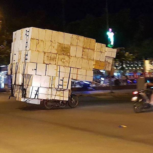 daily picdump 43 pics 18.html - 43 HD Photos | Premium Gallery 2026