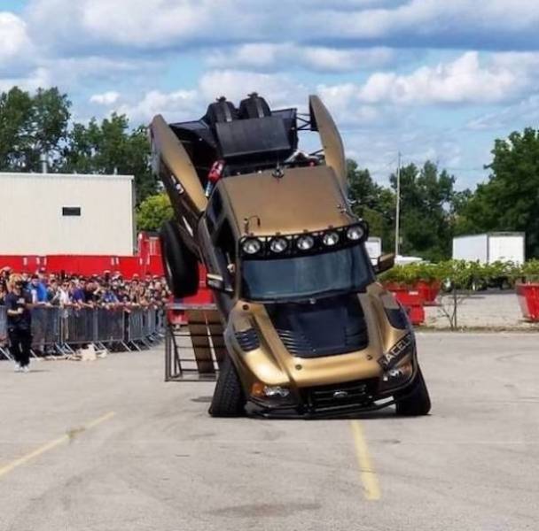 daily picdump 43 pics 18.html - 43 HD Photos | Premium Gallery 2026